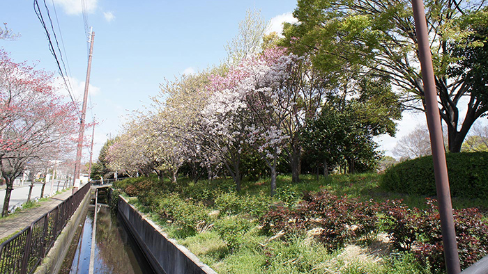 兵庫県尼崎市の高齢者住宅の近隣
